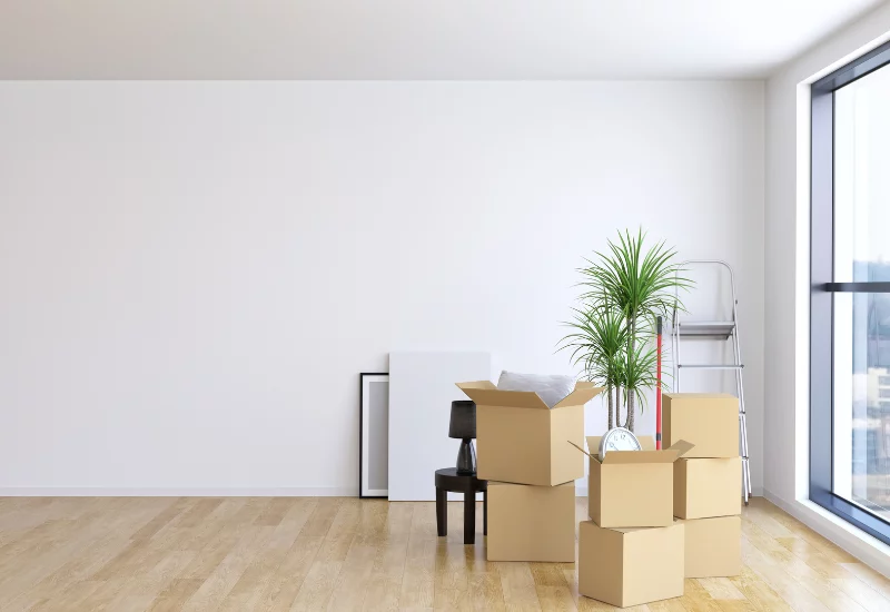 Moving boxes in a new house