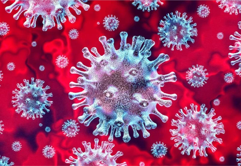 Corona virus