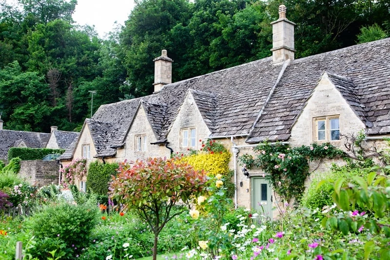 Row of cottage houses with plants