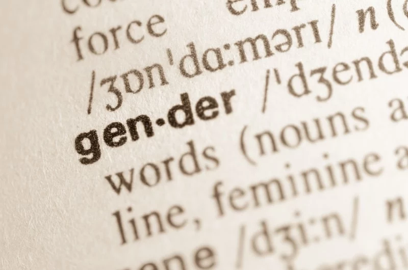 Gender definition in dictionary