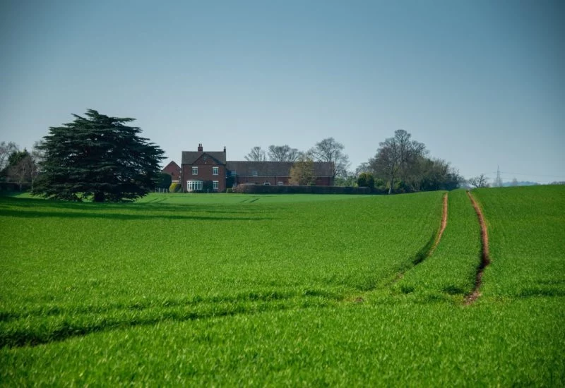 House with field on a sunny day