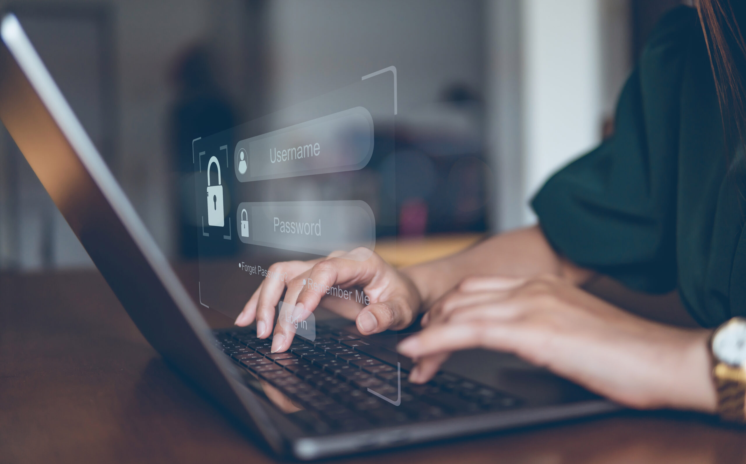 Concept of security data network, Prevent online identity theft