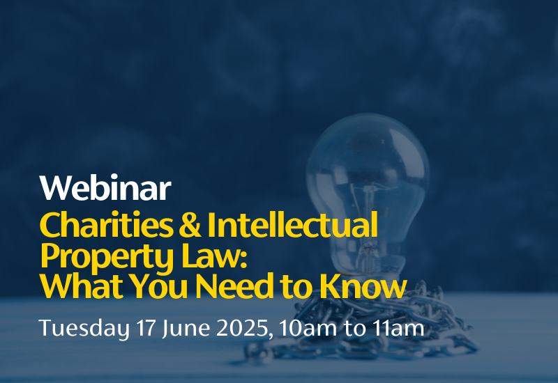 • Charities & Intellectual Property Law light bulb