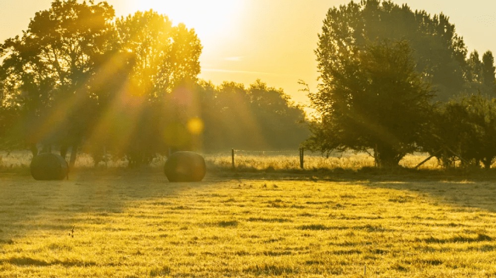 Agricultural Property